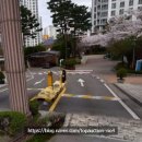 슈퍼마켓자연숲 - 서구 마륵복개로 91 | 슈퍼마켓자연숲