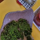 동원대학교 이미지