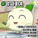 꿍야 이미지