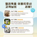 보고유치원 | 한남동 애견유치원 호텔 강아지 미용 싹 다 해본 찐 후기