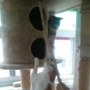 호텔코코 이미지