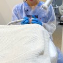 레푸스 연산점 이미지