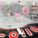 도리순이 이미지