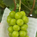 십이령농원 이미지