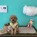 견상낙원 이미지