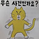 동보세탁소 | [초등 2~3학년] K-히어로 판타지 똥볶이 할멈, 재밌는 책 추천
