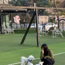 요미워니