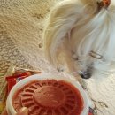 마마노코코로 이미지