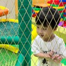 성주읍성주체육관(저단) | 대구 근교 아이와 가볼만한곳 성주 과일어린이과학체험관 후기