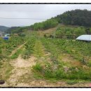 이상봉농장 이미지