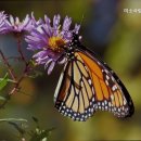 도봉-도봉-서울도봉-2017 | 추천 도봉구 요양원 미소사랑요양원 안심하고 맡길 수 있는