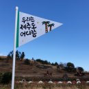 제주 자고가 이미지