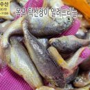 5월 9일, 새벽에 잡은 생물 황석어, 복어(까치복어, 참복어) 5kg... 맛있게 드시고 건강하세요. 이미지