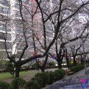 한신2차아파트 이미지