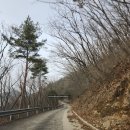 문경가볼만한곳 경북 드라이브 차로정상까지 단산활공장 전망대