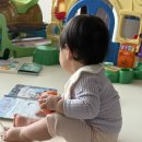 만진당 | D+346 반짝반짝 똘망이 8회차