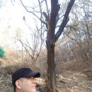 뚤레뚤레 이미지