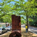 공존의표상 이미지