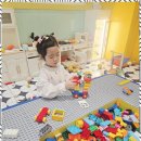 참 태권도장 이미지