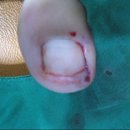 현대통통의원 이미지