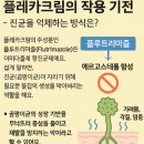 제이더블유신약(주) 이미지