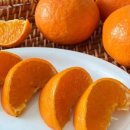 한길3농장 이미지