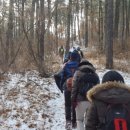 크린데이 이미지