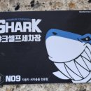 세종노터치셀프세차 이미지