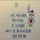 콩닭콩닭 이미지