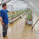 김종성농장 이미지