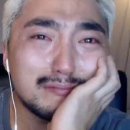 초원카페 이미지