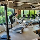 브라운 짐 이미지