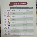 스마트 | 대전 효안과 스마트스마일라섹 후기👀🤓👓