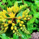 불로약수터 이미지