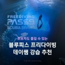 대구블루여행사주 | 대구 경북 블루피스 프리다이빙 데이쌤 후기🤿
