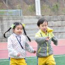소풍 이미지