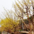 베어팜(주) 이미지