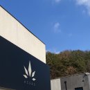 아체로3 이미지