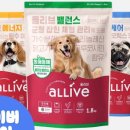 올리브 펫 이미지