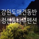 정선통나무펜션 | 강원도애견동반펜션 정선통나무펜션 재방문후기![정선여행2탄]