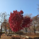 서리지생태공원(2) | 경기도 남양주 가볼만한곳 다산생태공원 여행 힐링 산책 방문 후기 2