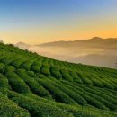 비즈트랜스 외국어번역 행정사사무소 이미지