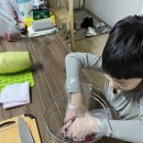 이준 농장 이미지