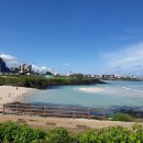 제주 소록 이미지