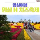 임실여행 :: 임실N치즈축제에서 치즈 맘껏 먹고 왔어요:)