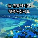 우리 이렇게 살자 이미지