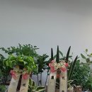 백운2동주민센터 이미지