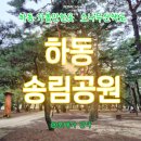 445 | 경남 하동 가볼만한곳 산책로 < 하동송림공원 > 천연기념물 제445호 섬진강 힐링코스 후기! 주차 위치
