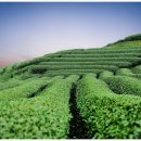 로그짐 잠실역점 이미지