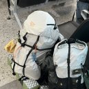 수원-1651 | 제주도 2박 3일 여행 기록